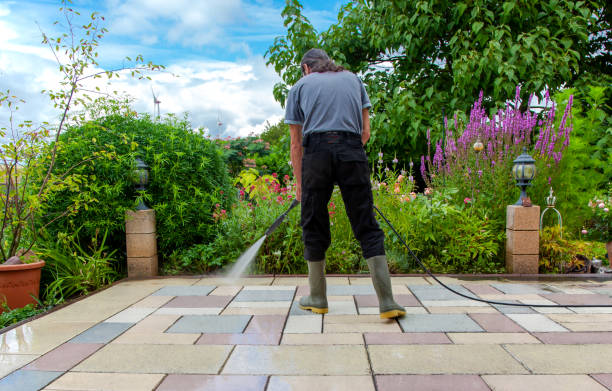 Animal Enclosure Cleaning in Astoria, OR